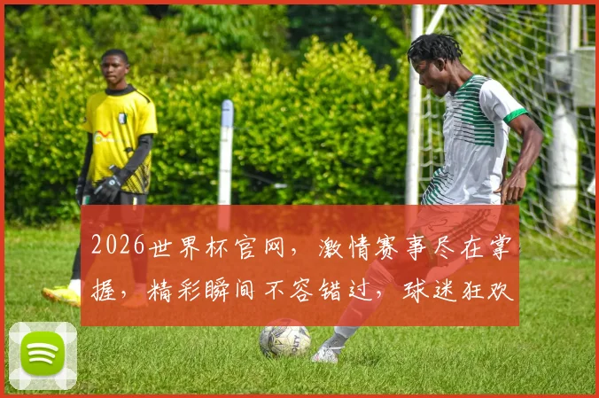2026世界杯官网，激情赛事尽在掌握，精彩瞬间不容错过，球迷狂欢盛宴