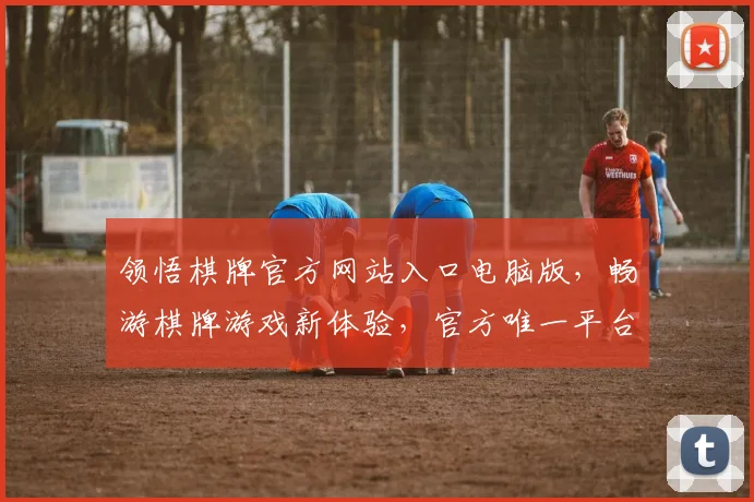 领悟棋牌官方网站入口电脑版，畅游棋牌游戏新体验，官方唯一平台，畅享欢乐
